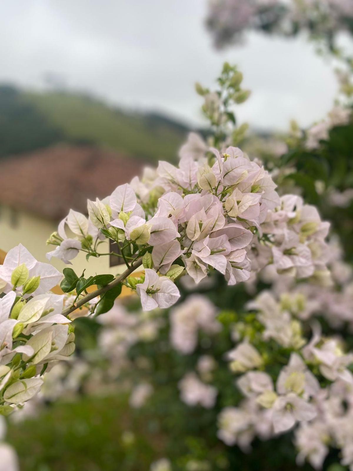 Estrela Da Serra Hotel Fazenda Santo Antônio do Pinhal Dış mekan fotoğraf