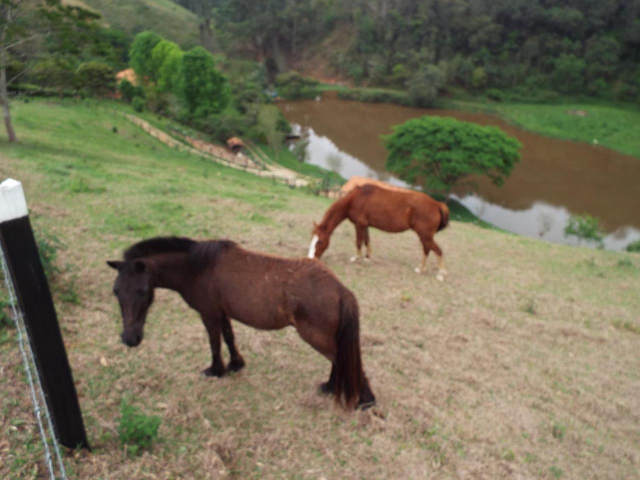 Estrela Da Serra Hotel Fazenda Santo Antônio do Pinhal Dış mekan fotoğraf